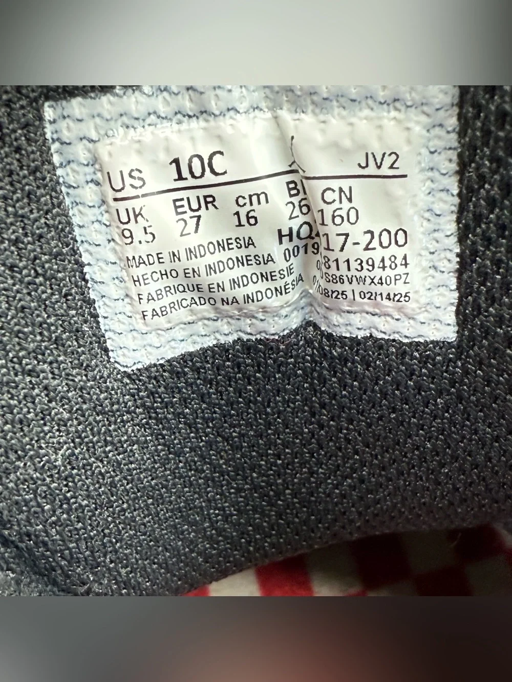 Jordan 1 Low ALT SE Pizza (TD) Size 10C